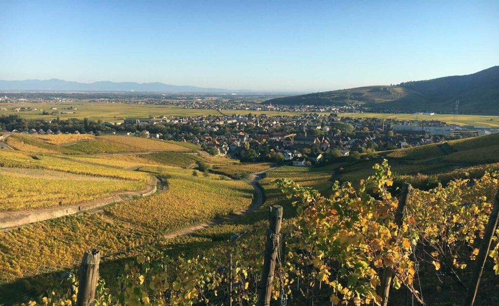 vue sur Turckheim