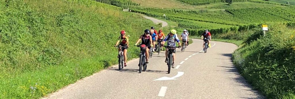 l'Alsace en vélo vigne d'Andlau