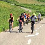 l'Alsace en vélo vigne d'Andlau