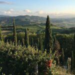 Casole d'Elsa vue insolite des collines et vignobles de Toscane