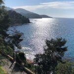 Bord de mer de la côte d'Azur et pays Varois