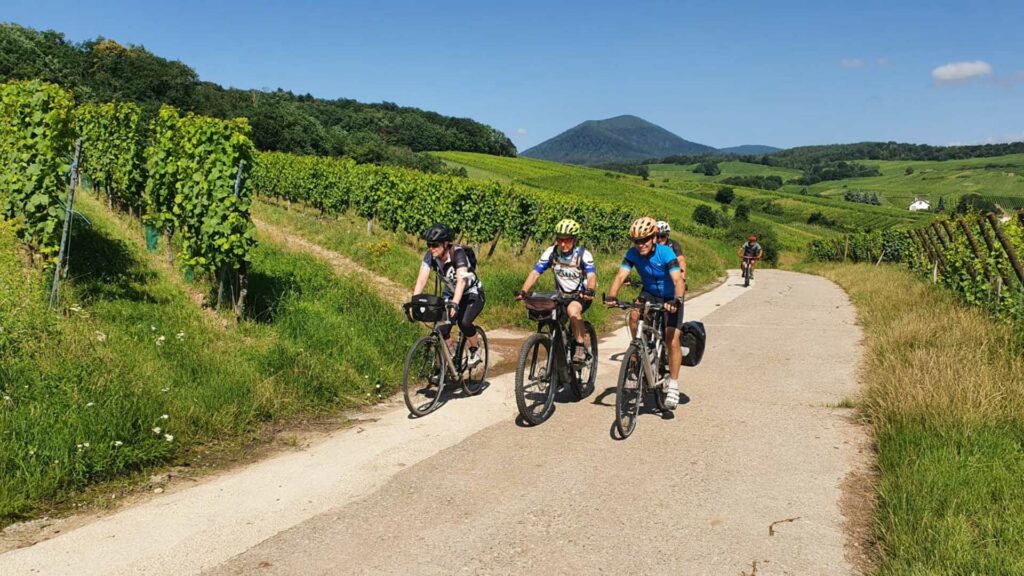 Vignoble alsacien en VTT ou VAE