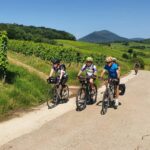 Vignoble alsacien en VTT ou VAE