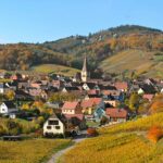 vignoble d'Alsace Niedermorschwihr