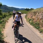 Alsace Chemin des vignes en vélo