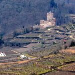 vue du Château Kaysersberg